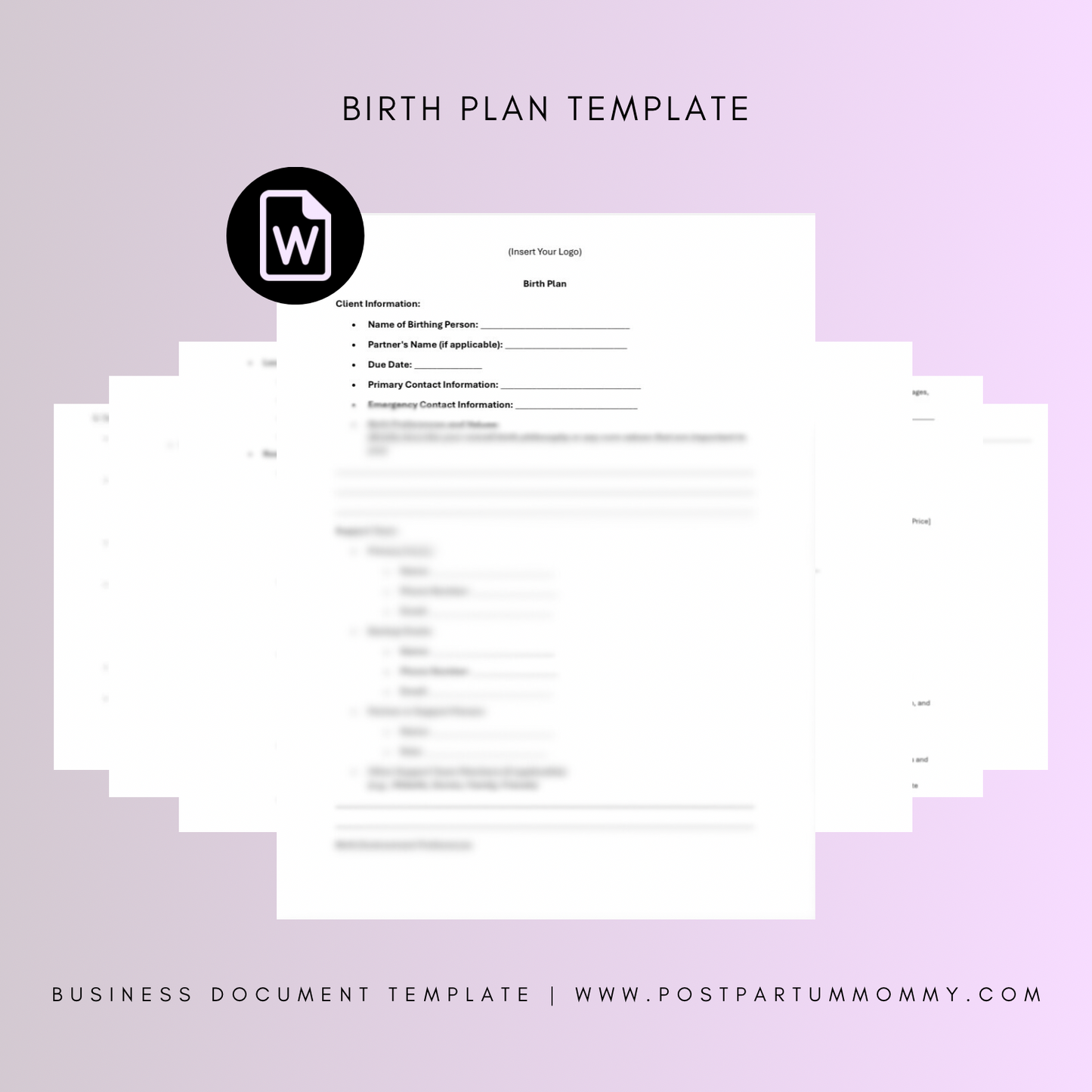 Birth Doula Care Plan Template