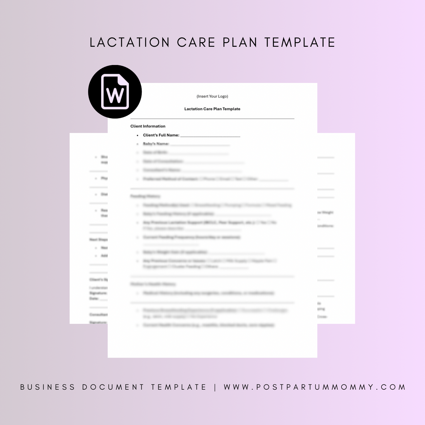 Lactation Consultant Care Plan Template