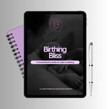 Birthing Bliss: A Comprehensive Guide On Labor & Delivery E-Book