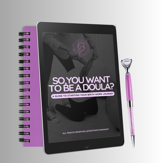 So,You Want to Be a Doula? A Guide to Starting Your Birth Work Journey E-Book